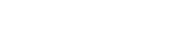logov5